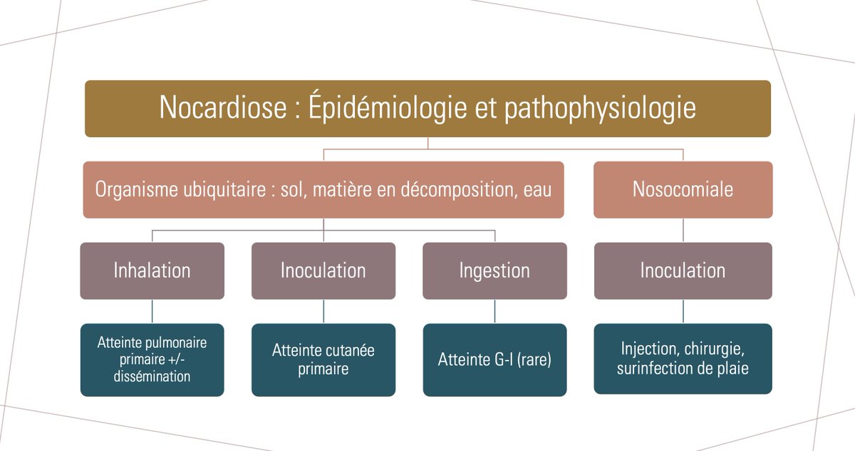 Florence Côté tweet media