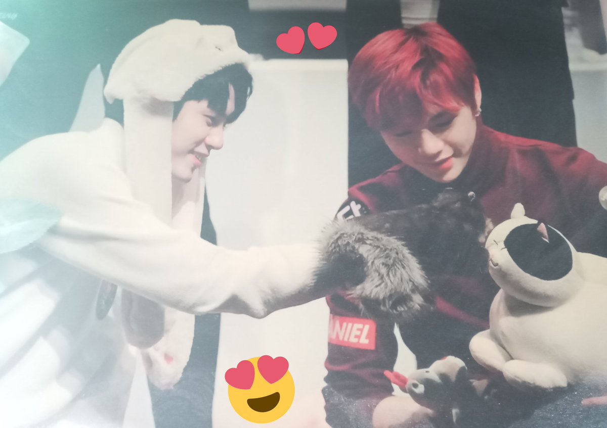 gothicJemmy's tweet photo. 🥺
been busy with the last few days that I missed to greet my boys last May 31st🔖
the date that they made my heart throbbed🧡💜
onge on his endless acting projects; niel on his first ever full length album;
congrats my bibiboys! love you both!
#osw #kdn
#ongnielday6th #05312017 https://t.co/khTx9Gbb3B