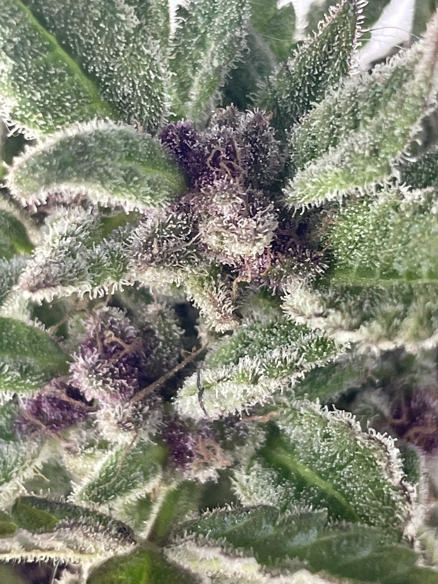 Formulas593's tweet image. Belleza de la naturaleza!!!