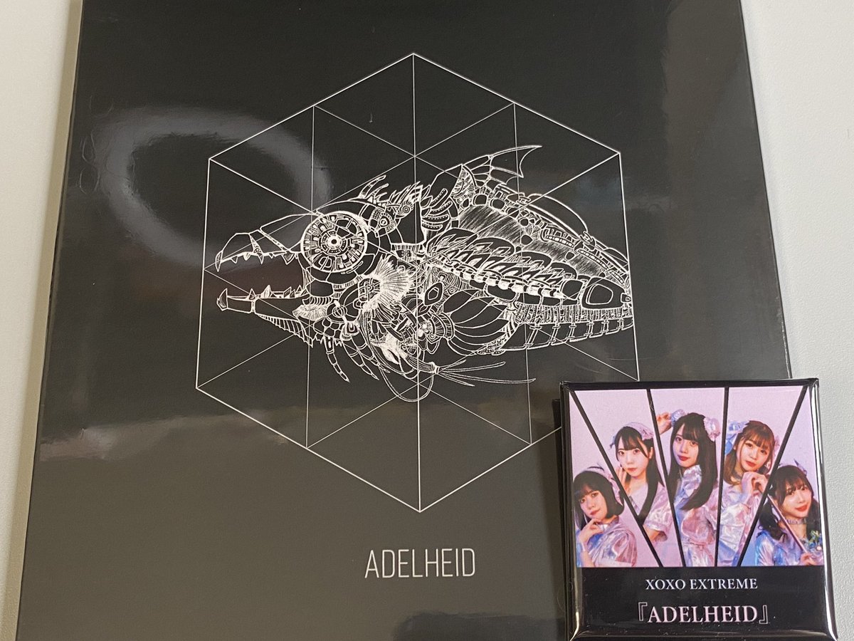 susanoh_xxx's tweet photo. もうひとつ「ADELHEID」が届いた。こっちの��バッジは、かわいい。もちろん曲はかっこいい。
#DISK_UNION #キスエク https://t.co/AY9XB0HqYw