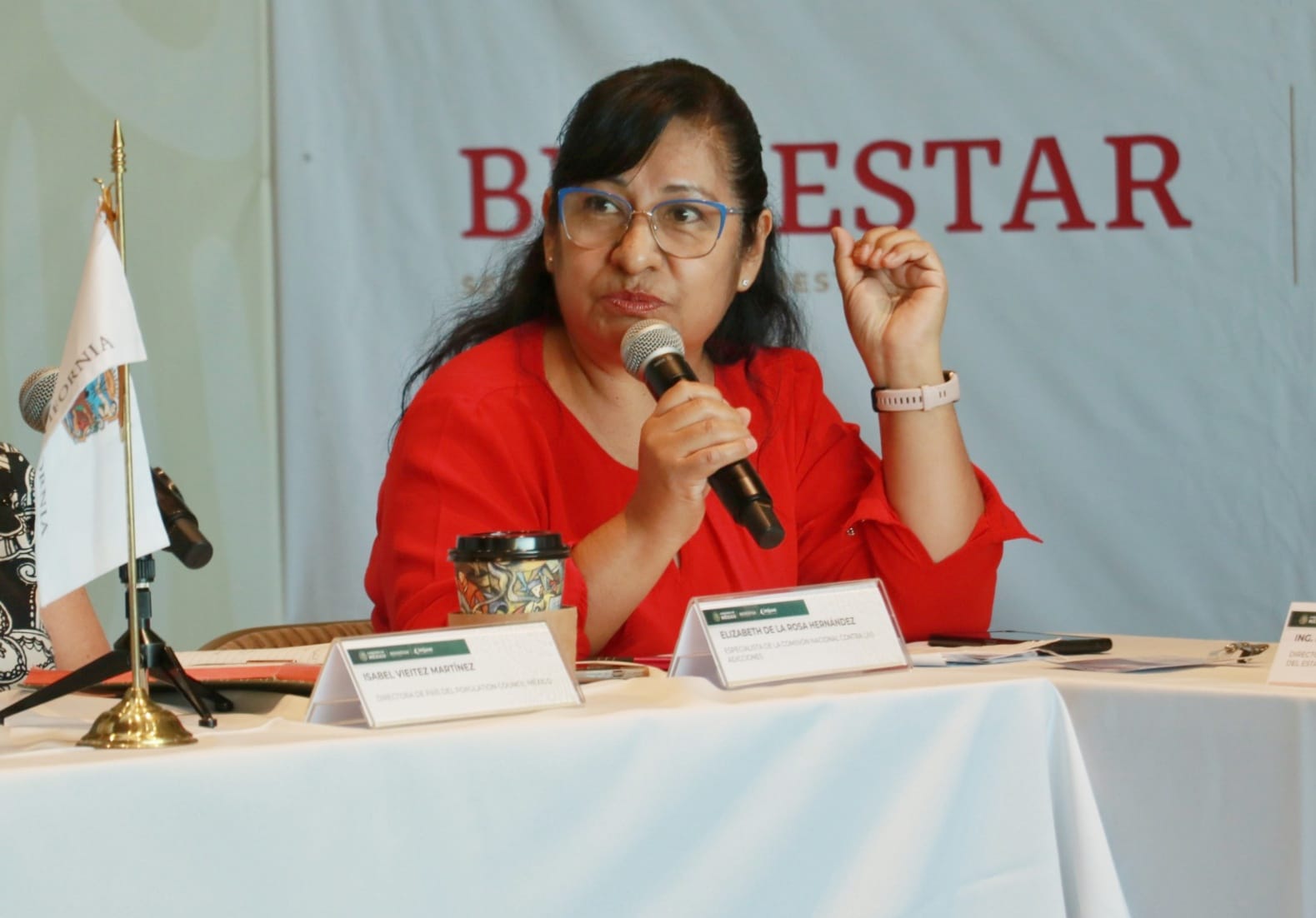 Imjuve on Twitter "Elizabeth de la Rosa Hernández de CONADICmx e