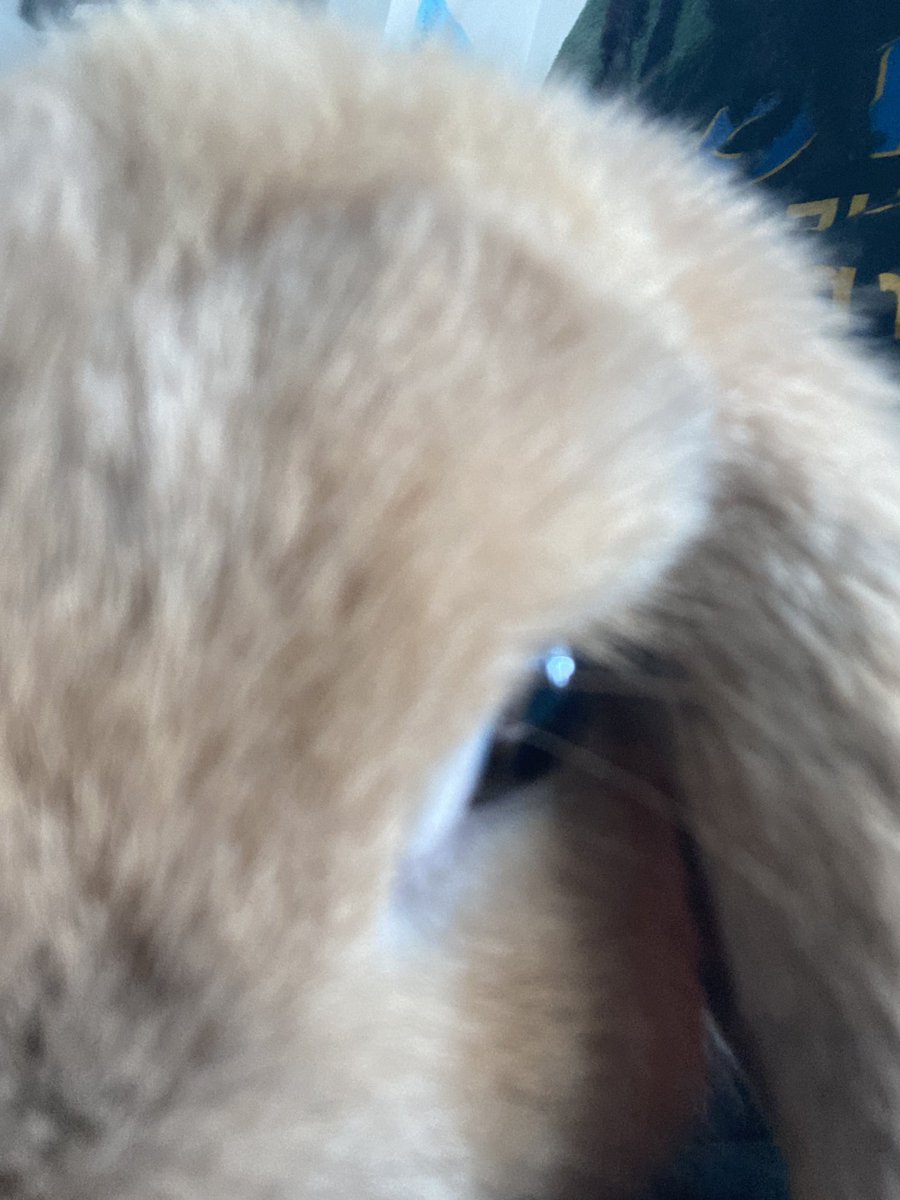 PhantomSoup1's tweet photo. Sparkie Appreciation tweet https://t.co/8rJguFFqum