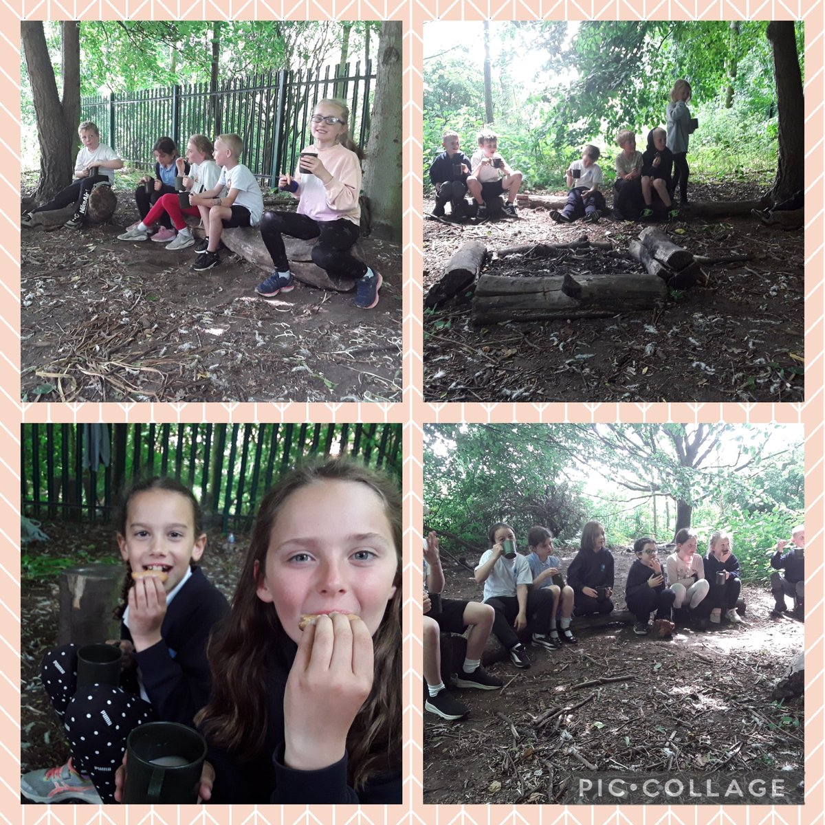 mountpljuniors's tweet photo. Class 2 enjoyed their final Forest School session, drinking hot chocolate and dunking biscuits, toasting bread and marshmallows on the campfire and exploring the wonderful outdoors! https://t.co/NLd8vl0ess