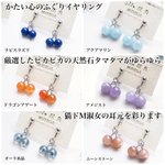 びーにゃんくらぶ⭐︎フサB。6/25(土)【金(たま)の猫祭り】ちろる庵(豊橋市)のツイート画像
