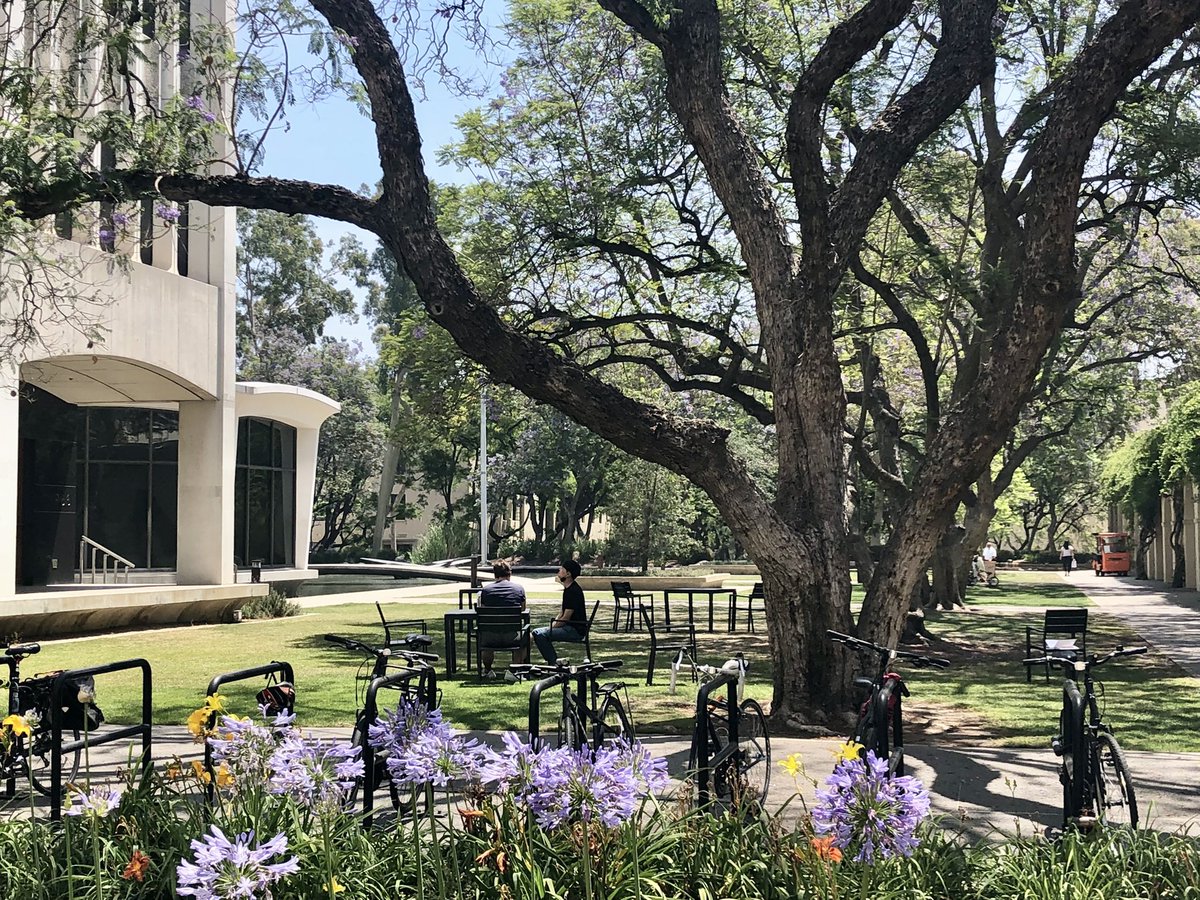 Tanter Mickael (@tanterm) on Twitter photo Delighted to join great <a href="/mikhailshapiro/">Mikhail Shapiro (same on bsky) 🇺🇦</a>, Richard Andersen & Lihong Wang teams and continue strengthen collaborations with <a href="/Caltech/">Caltech</a> ! <a href="/PhysMedParis/">Physics for Medicine Paris</a> <a href="/inserm/">Inserm</a> <a href="/ESPCI_Paris/">ESPCI Paris - PSL</a> <a href="/psl_univ/">Université PSL</a> Delighted to join great <a href="/mikhailshapiro/">Mikhail Shapiro (same on bsky) 🇺🇦</a>, Richard Andersen & Lihong Wang teams and continue strengthen collaborations with <a href="/Caltech/">Caltech</a> ! <a href="/PhysMedParis/">Physics for Medicine Paris</a> <a href="/inserm/">Inserm</a> <a href="/ESPCI_Paris/">ESPCI Paris - PSL</a> <a href="/psl_univ/">Université PSL</a>