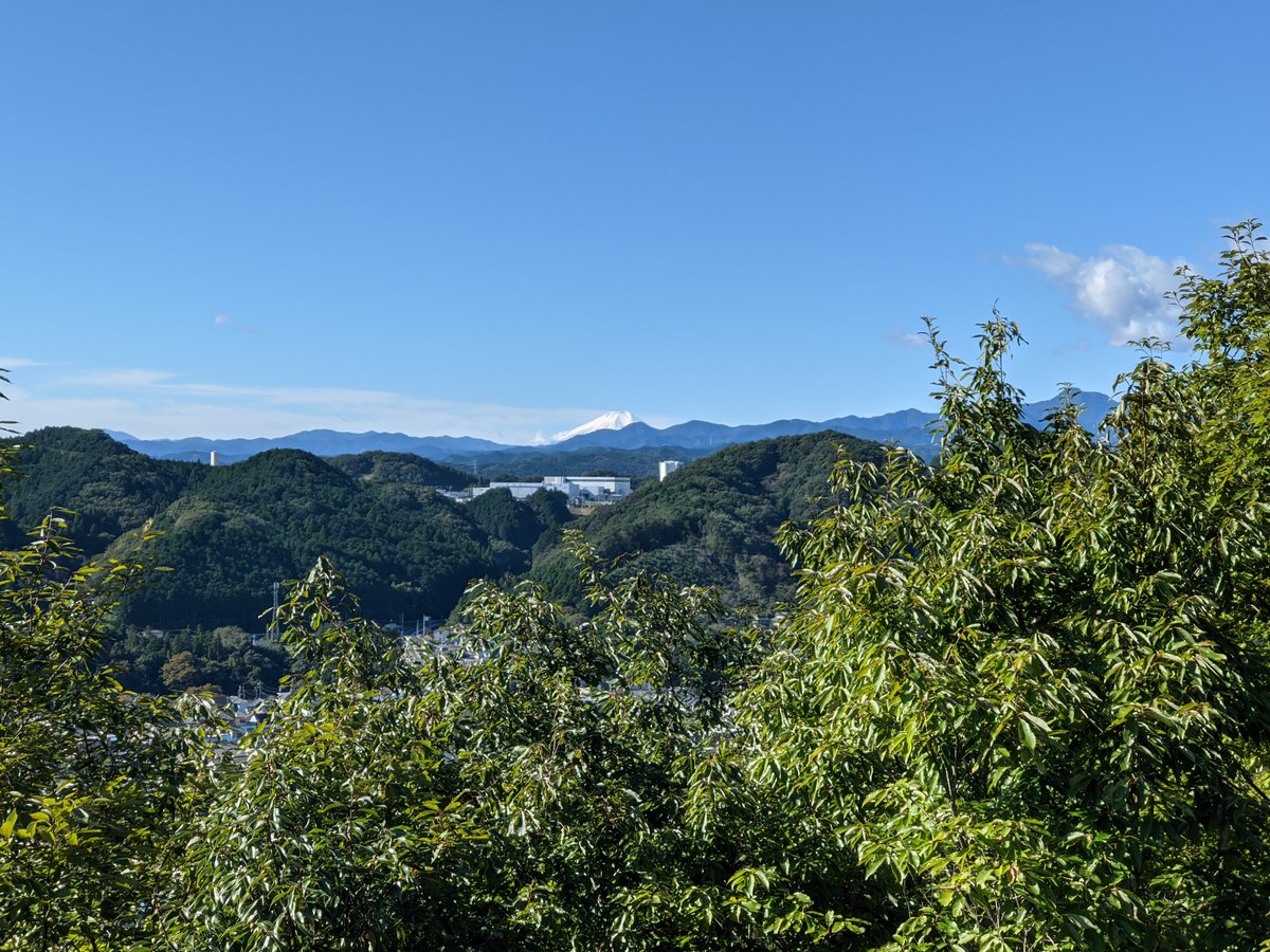 #天覧山
からみた富士山