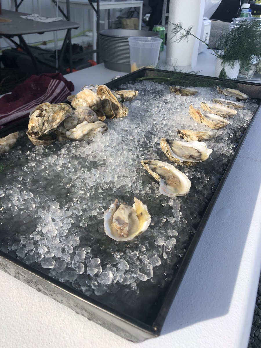 Oyster Seed Holdings tweet media