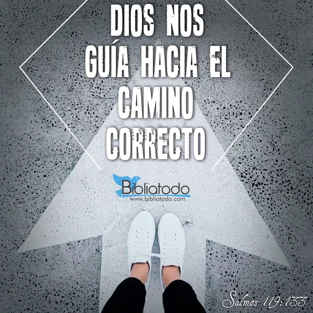 El Señor dice: «Mis ojos están puestos en ti. Yo te daré instrucciones, te daré consejos, te enseñaré el camino que debes seguir. (Salmos 32:8)