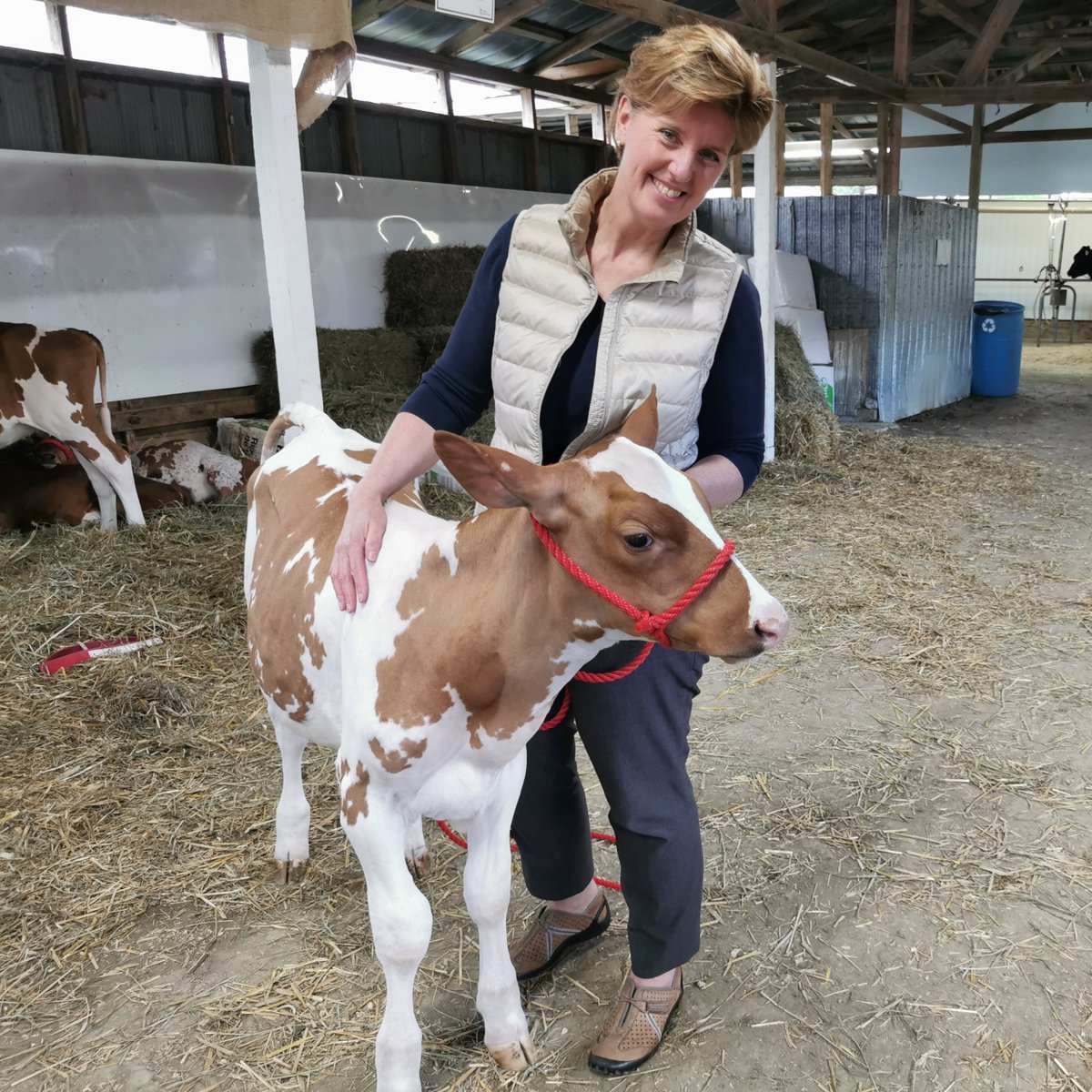 mclaudebibeau's tweet photo. Rural fairs across Canada are opening their gates for the summer, like the @OrmstownFair in #Quebec.

It's uplifting to see rural communities come together, and to see @4HQuebec and École-O-Champ promoting the future of #CdnAg! https://t.co/C77u0OMgU9