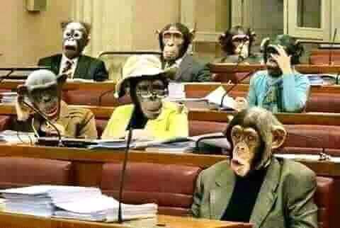 nembalembaleon's tweet photo. Le Parlement en R.D.C.  ..... https://t.co/I6y78HcqQh