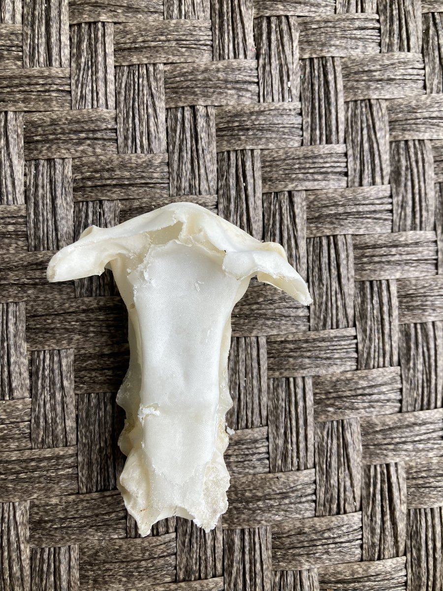 Steve Watts tweet media