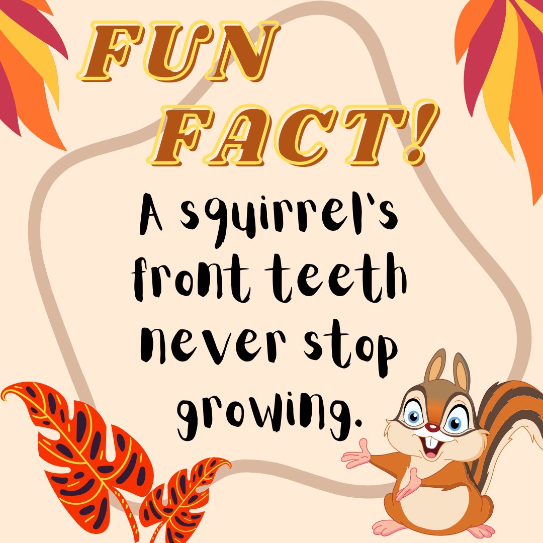 FUN FACT!🐾

Follow + RT for more!
#NFTdrops #NFTartist #NFTCommunity #NFTProject #NFTartwork #NFTCollection #NFTs #NFTdrop #NFTGiveaway #nftart