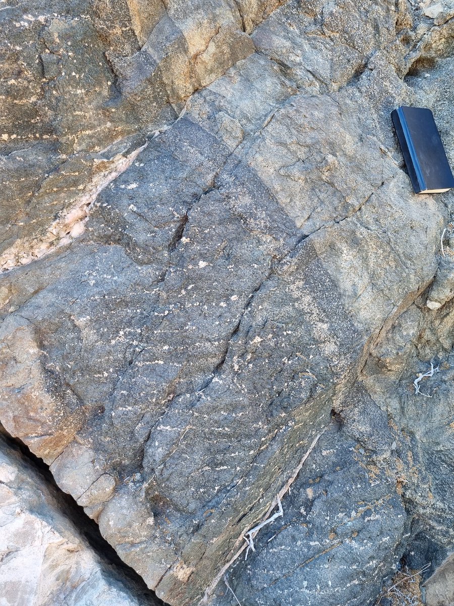 mcrowerocks's tweet image. OK petrologists, this is probably the most interesting outcrop I've been to. Calling it 'tire tread' texture. Reminds me of the doublets at Stillwater. Oblique to quartzite contact to the left and main body of gabbro to the right. Didn't even stop for #geologylunch. @EnvUoA