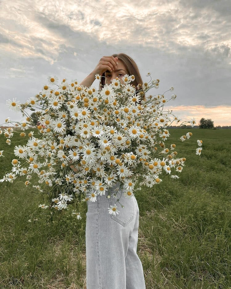 liviuuh's tweet image. a bundle of daisies