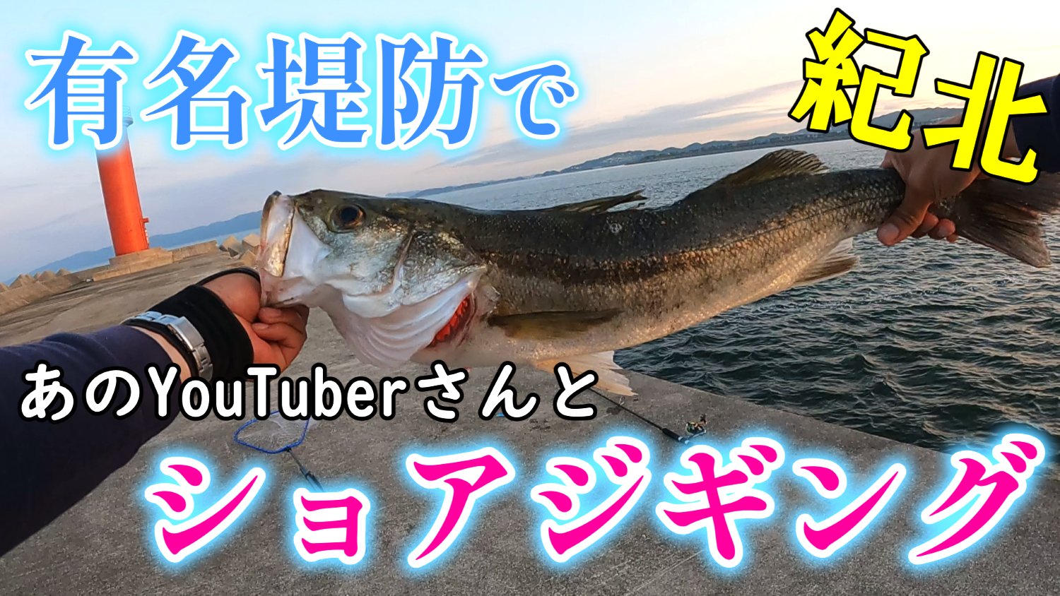 えーやん Auf Twitter みなさん いつも応援ありがとうございます 青物が上がっている有名堤防でショアジギング あのyoutuberさんと を 本日6月11日 土 18時から します お時間ありましたら観てやって下さい 動画 T Co Hpdqwgvdnf です