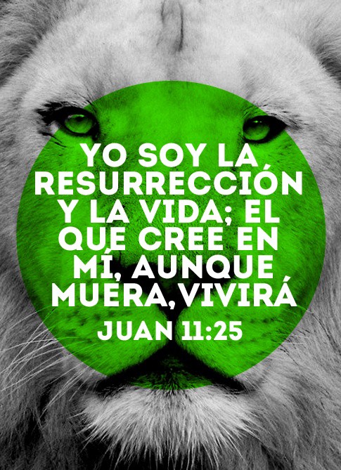 🙏📖♥️☝️🕊️🌎