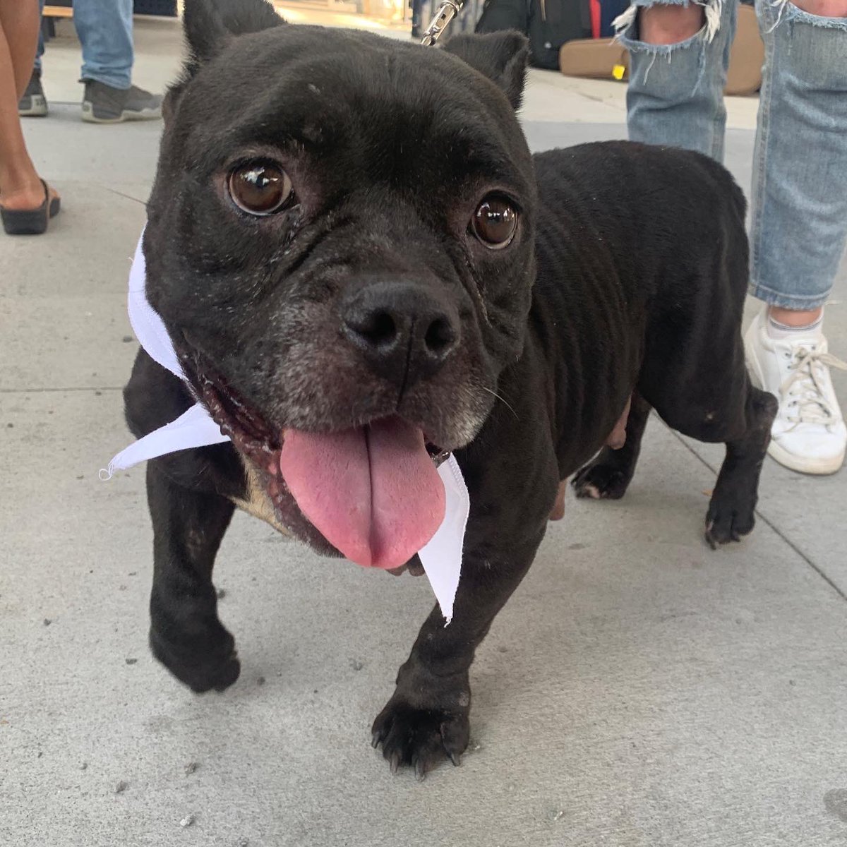 APS of Durham tweet media