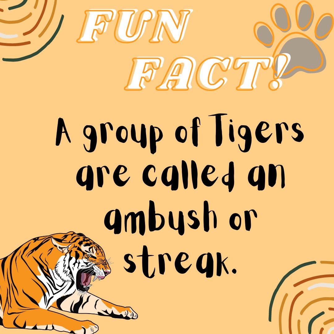Hey, PawFam! 
Did you know about this?

Follow + RT for more!
#NFTdrops #NFTartist #NFTCommunity #NFTProject #NFTartwork #NFTCollection #NFTs #NFTdrop #NFTGiveaway #nftart
