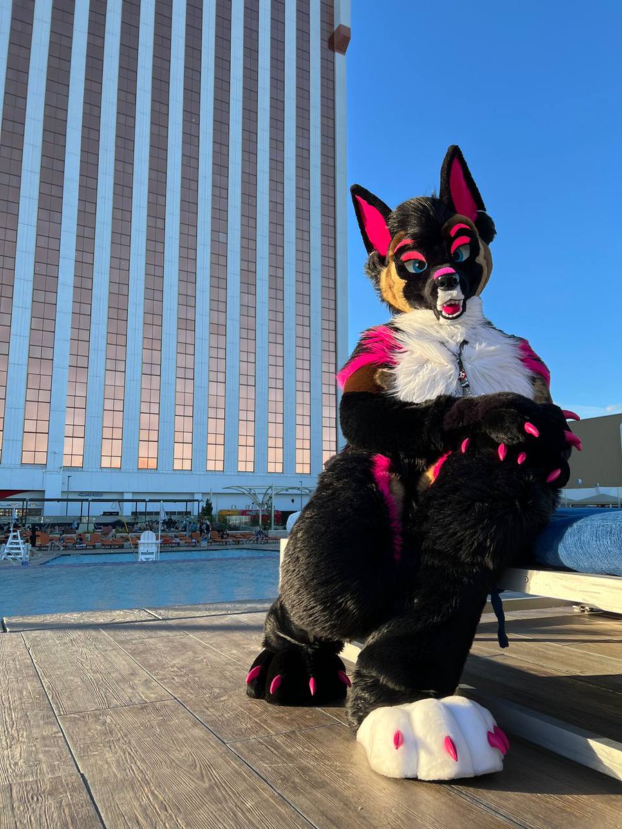 Care to join me at the pool? #FursuitFriday #BLFC2022 
📷:<a href="/Kibaskunk/">Kiba ➡️ meow meow</a>