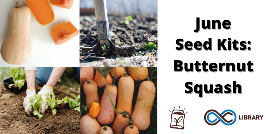 aclib's tweet photo. Starting this month, #GrabAndGrow #SeedKits are available at all #ACLibrary locations!
#SummerAdventure starts today, so you can pick up a seed kit and your Summer Adventure guide in one stop.
#ButternutSquash #ACLibrarySummerAdventure https://t.co/7NK1PSSEVY