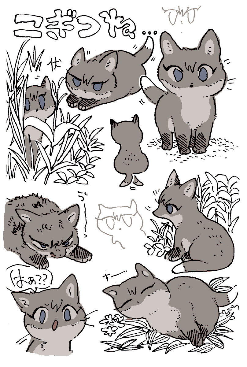 こぎつね(獣化) 