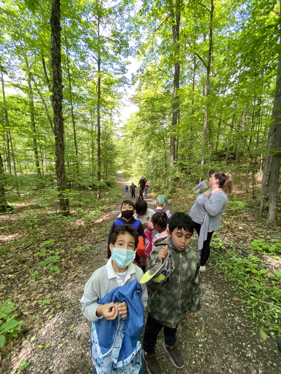 Room208 : The Burrow tweet media