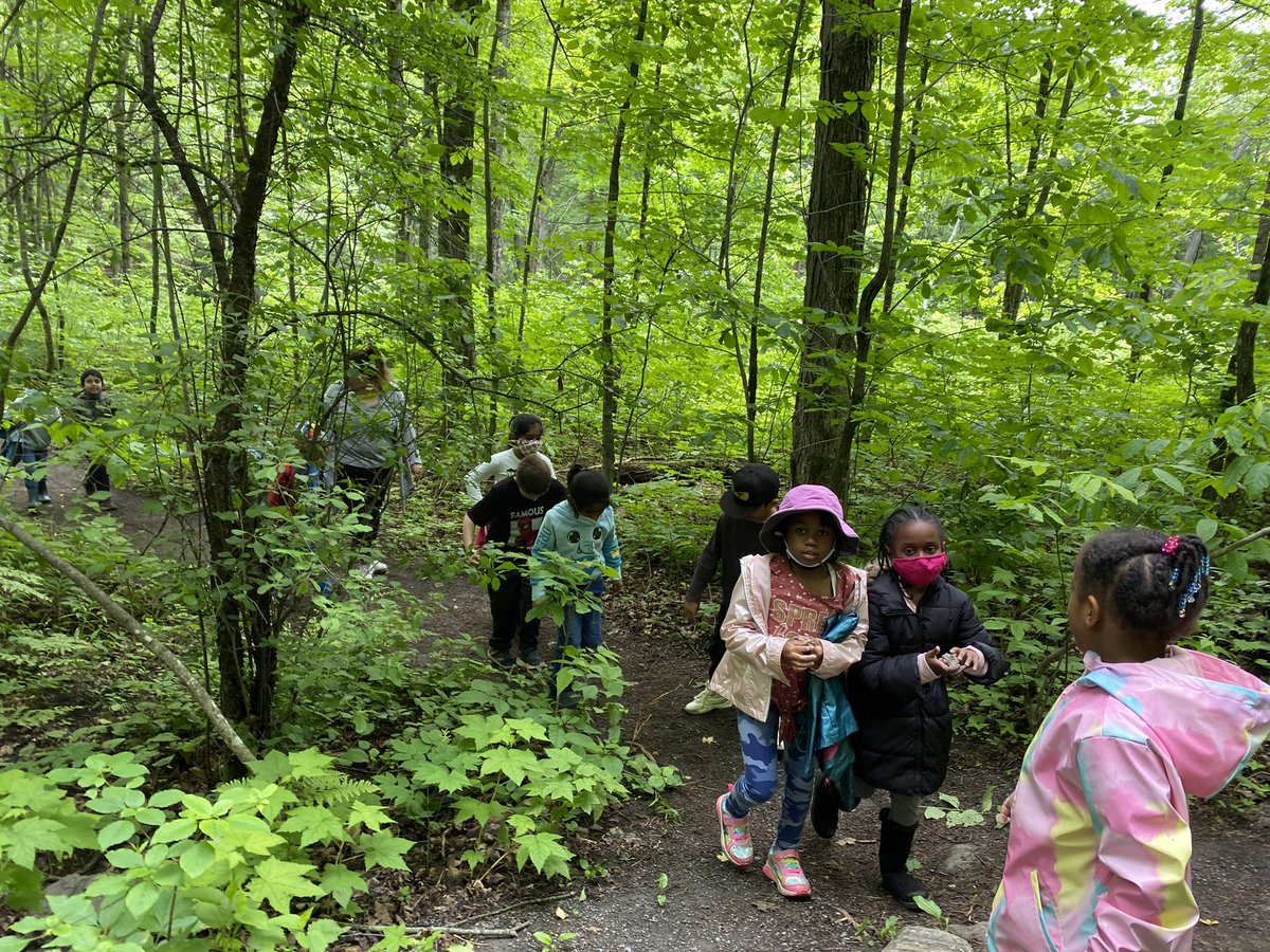 Room208 : The Burrow tweet media