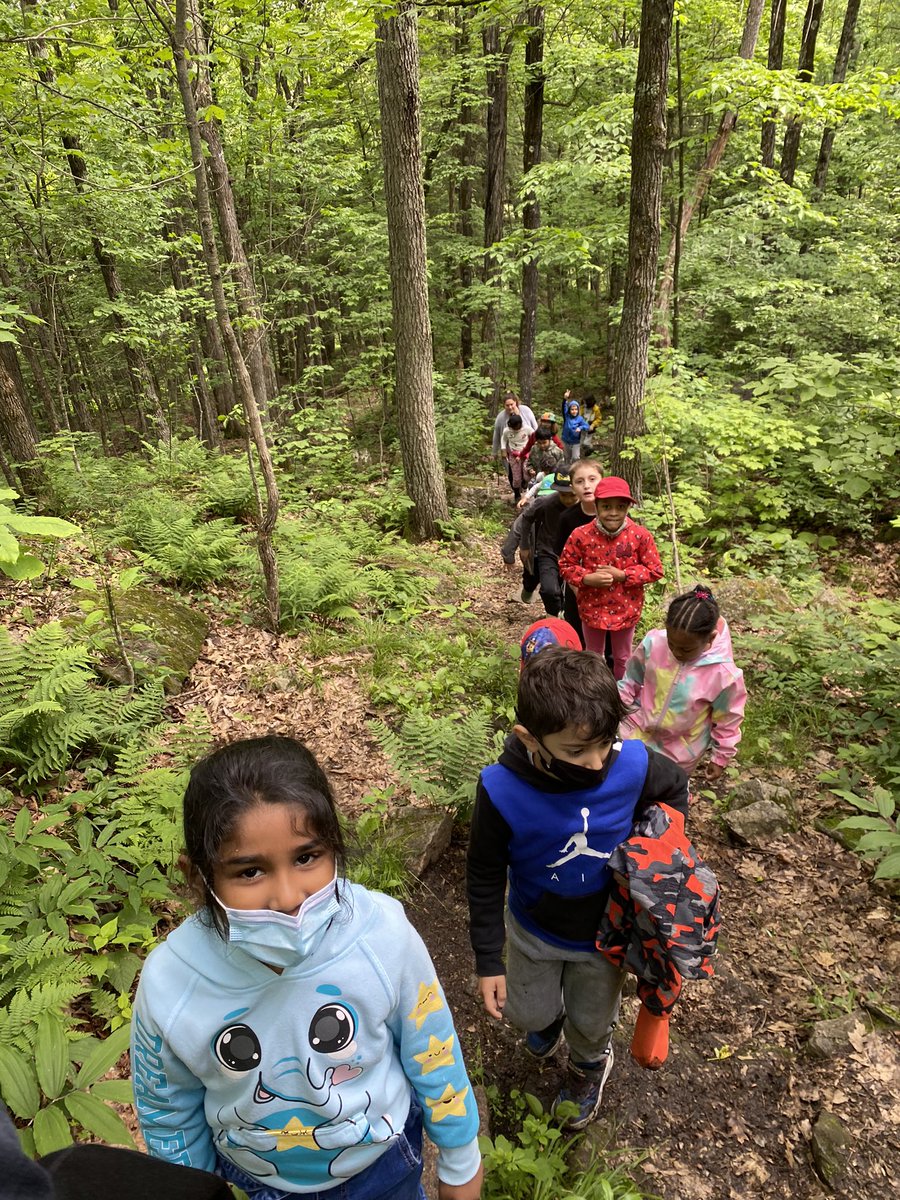 Room208 : The Burrow tweet media