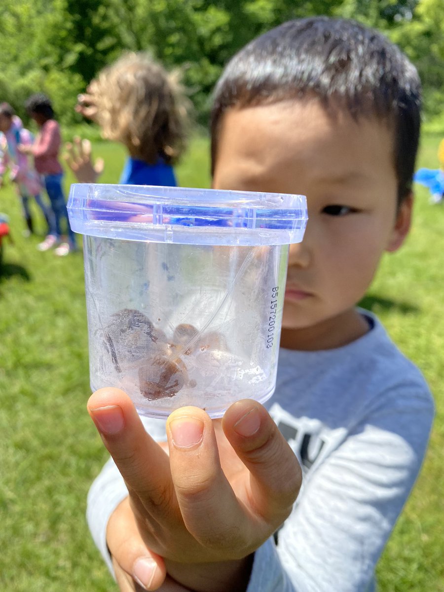 Room208 : The Burrow tweet media