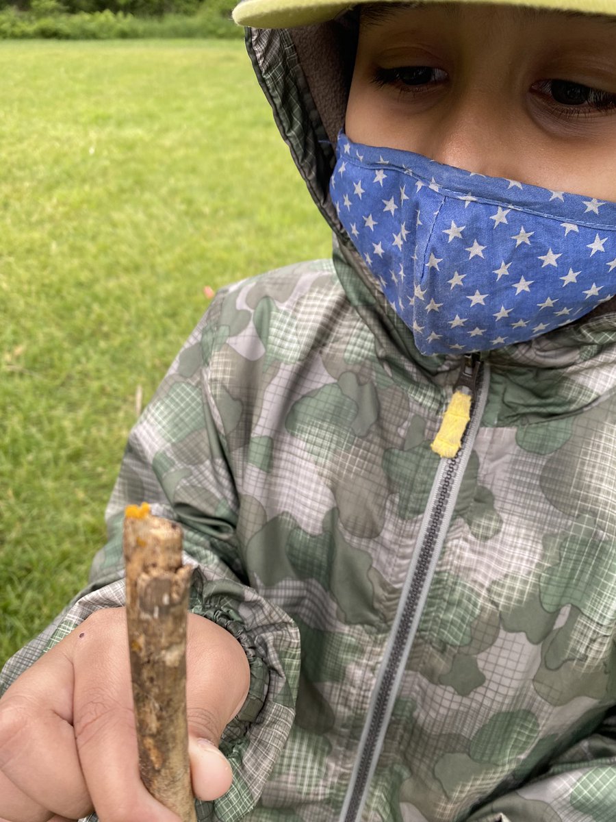 Room208 : The Burrow tweet media