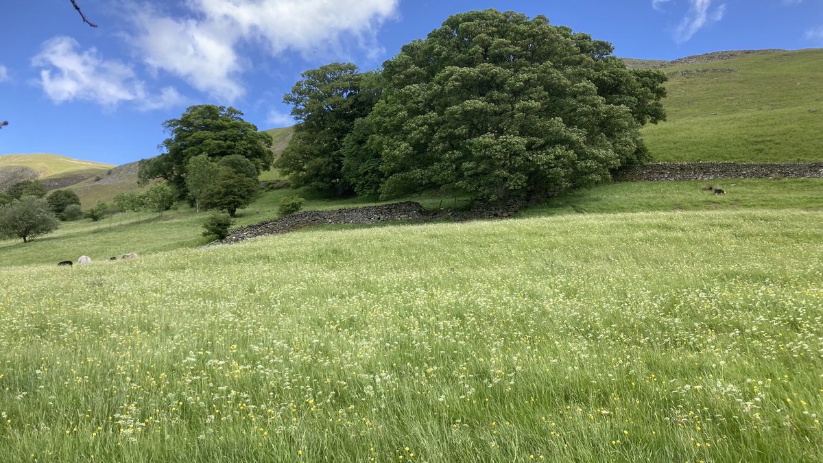 Charles Bewley tweet media