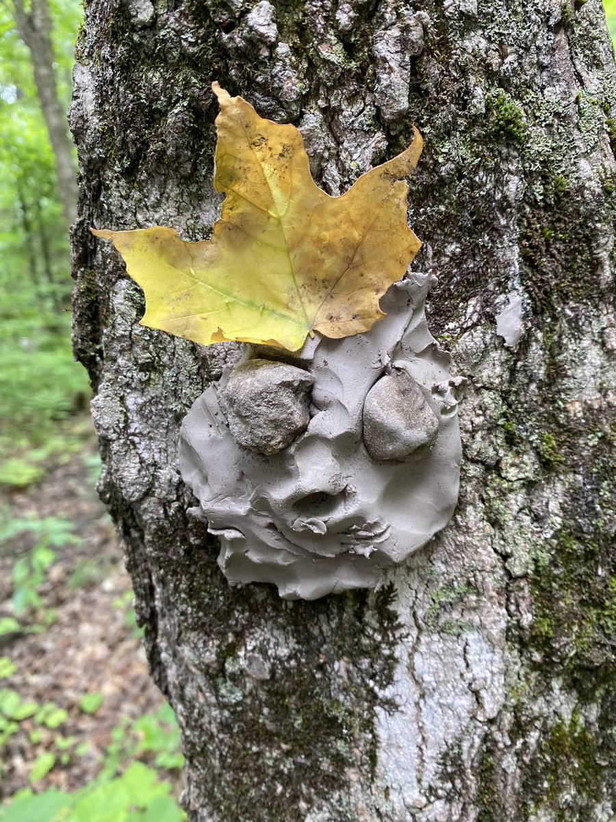 Room208 : The Burrow tweet media