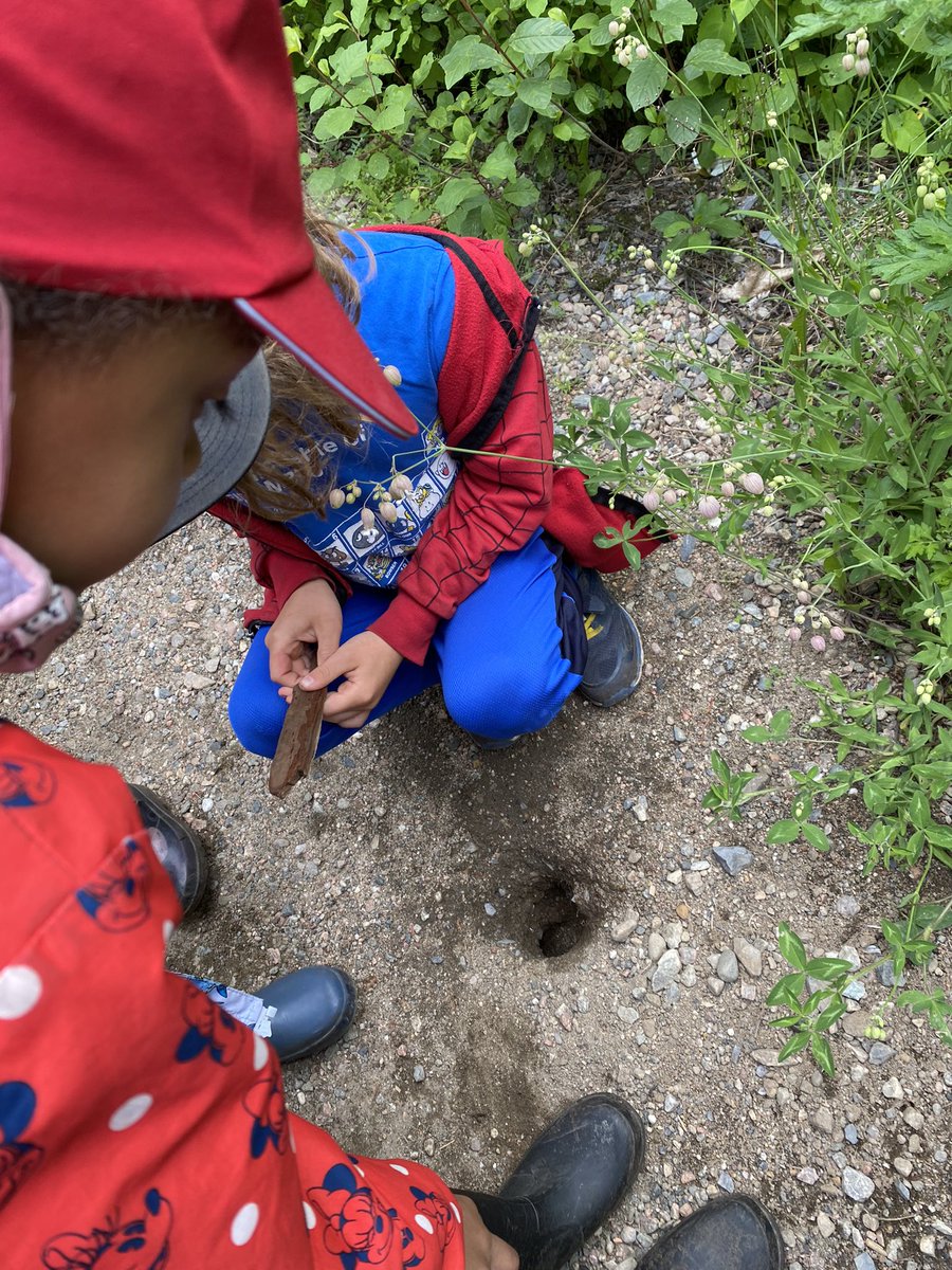 Room208 : The Burrow tweet media