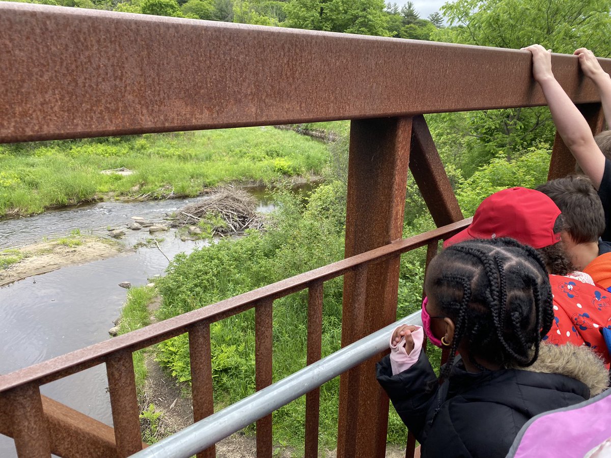 Room208 : The Burrow tweet media