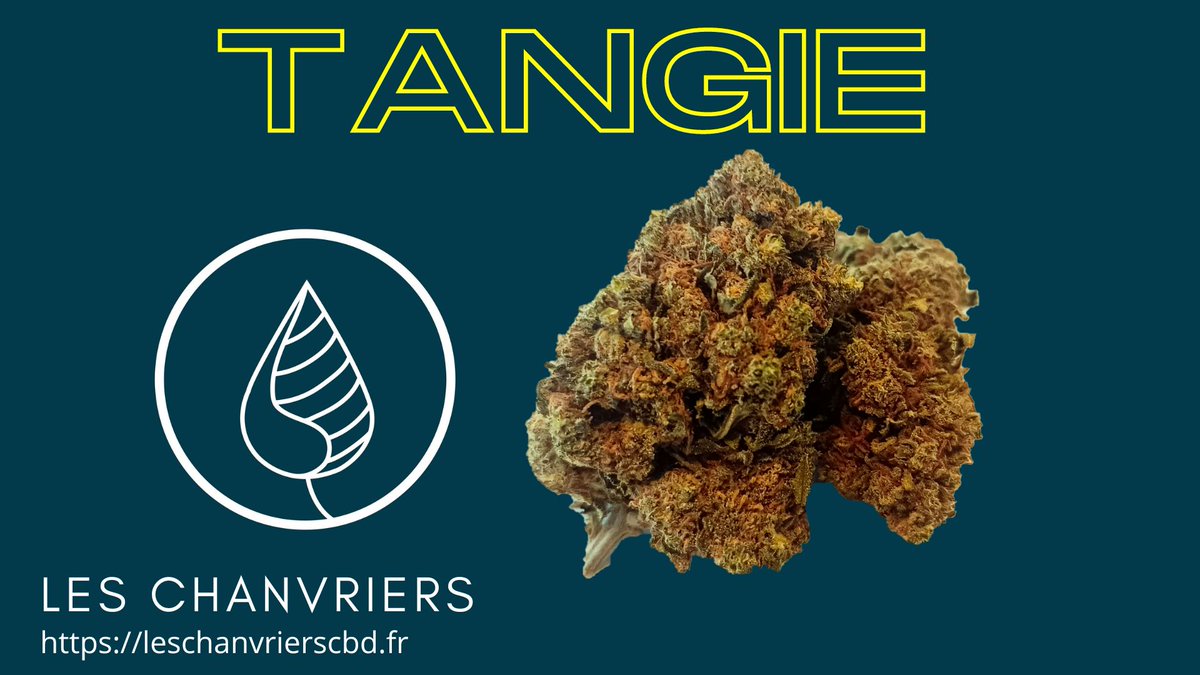 ChanvriersCbd's tweet photo. tout est naturel
#cbd #cbdlife #cbdfleur #cbdfleurs #cbdbio #cbdhuile #cbdhuilebio https://t.co/iE5rrEfZeT