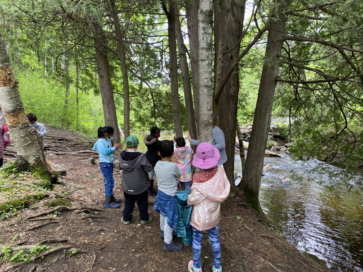 Room208 : The Burrow tweet media