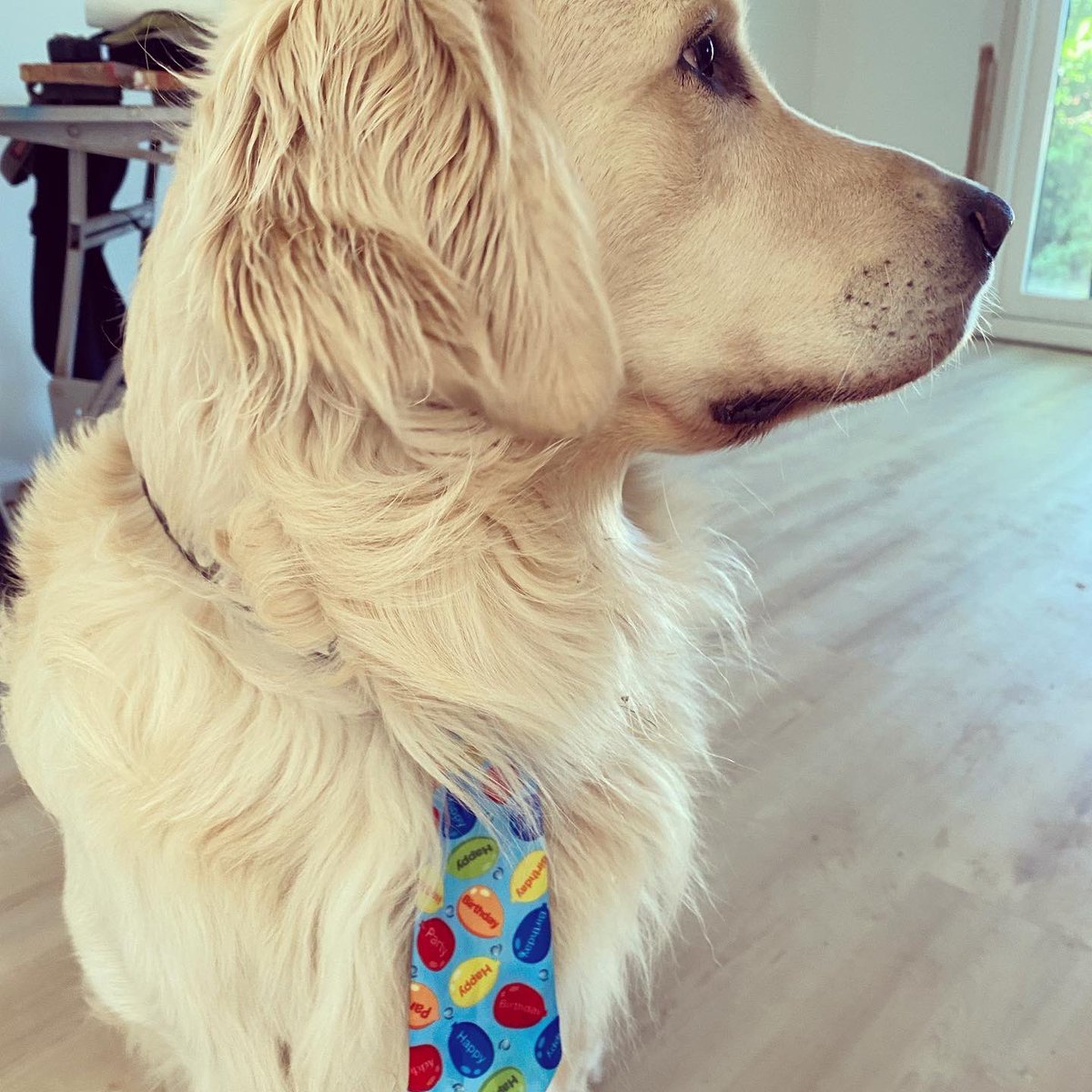 Kim Huynh tweet media