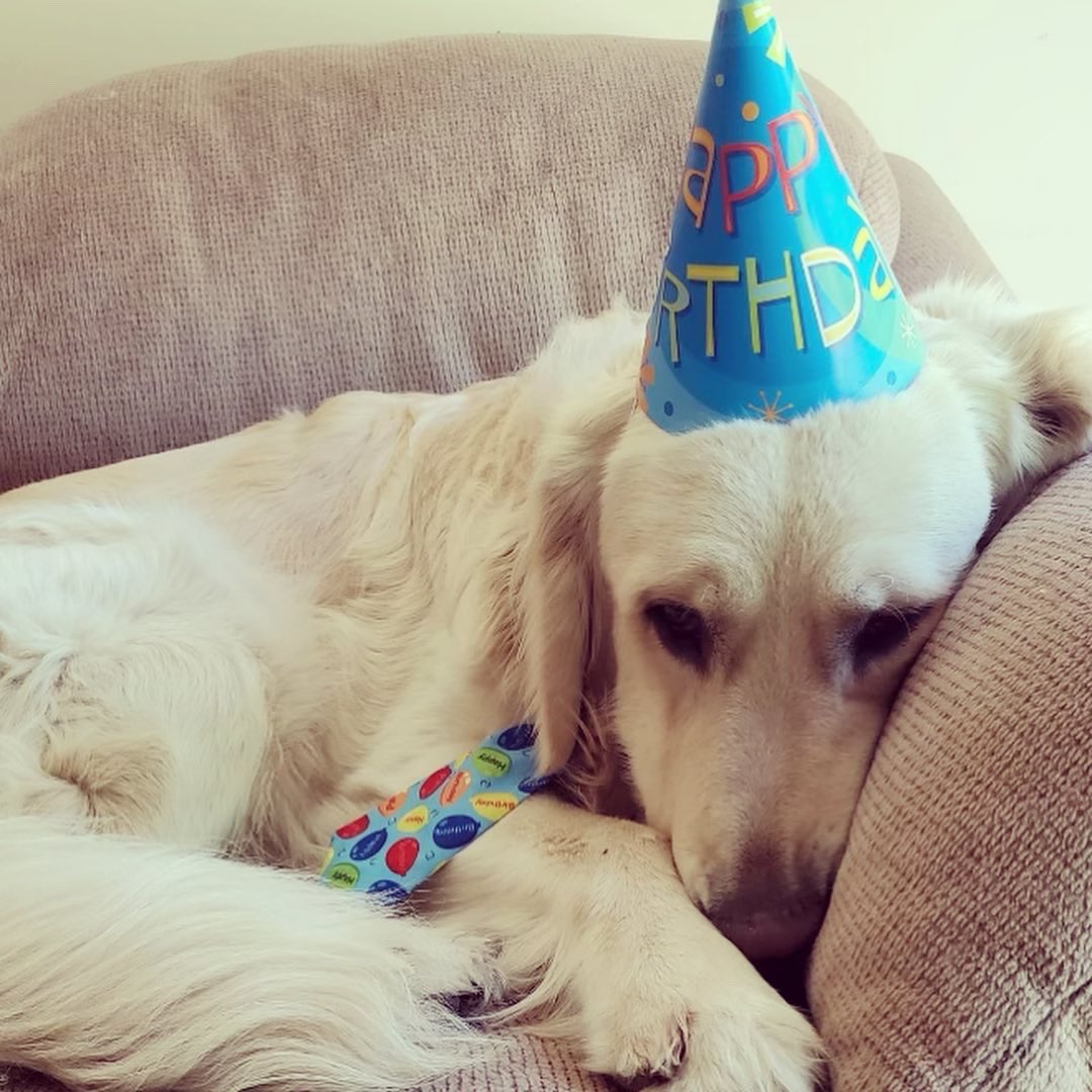 Kim Huynh tweet media