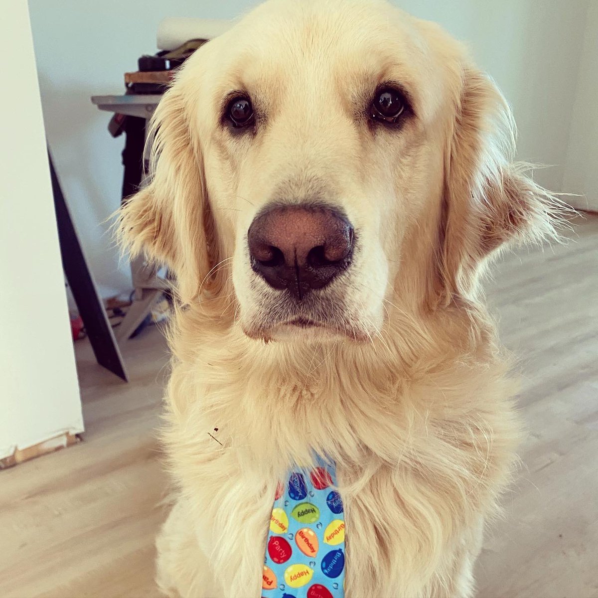 Kim Huynh tweet media