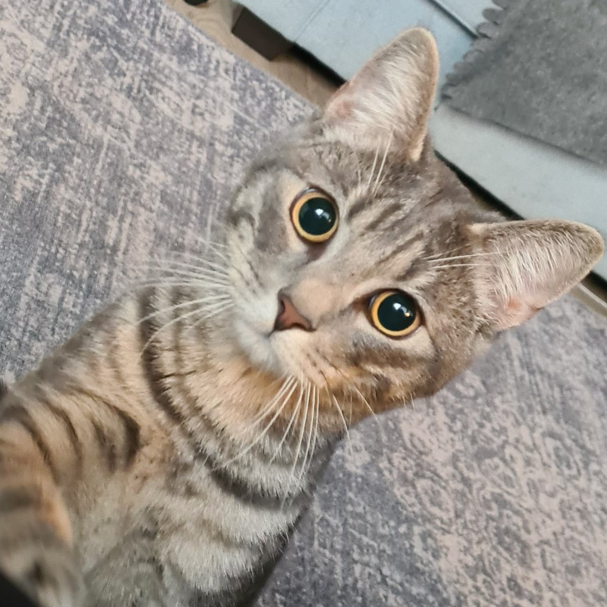 #NieuweProfielfoto