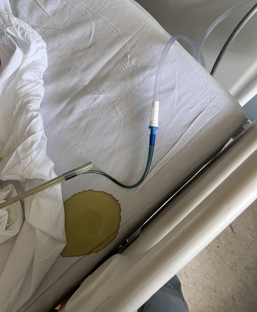 Sophia Williams-Perez, MD MEd tweet media