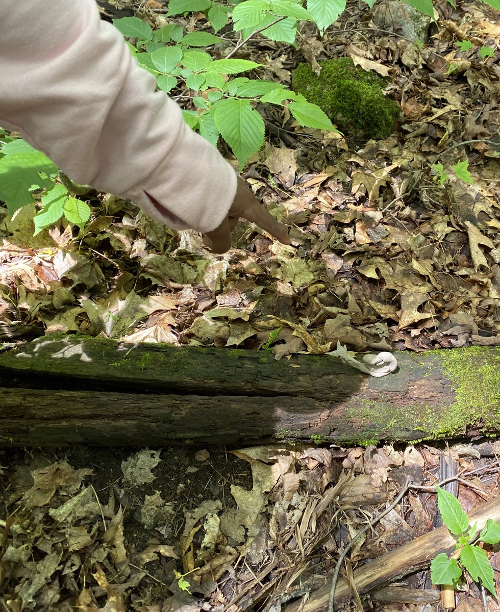 Room208 : The Burrow tweet media