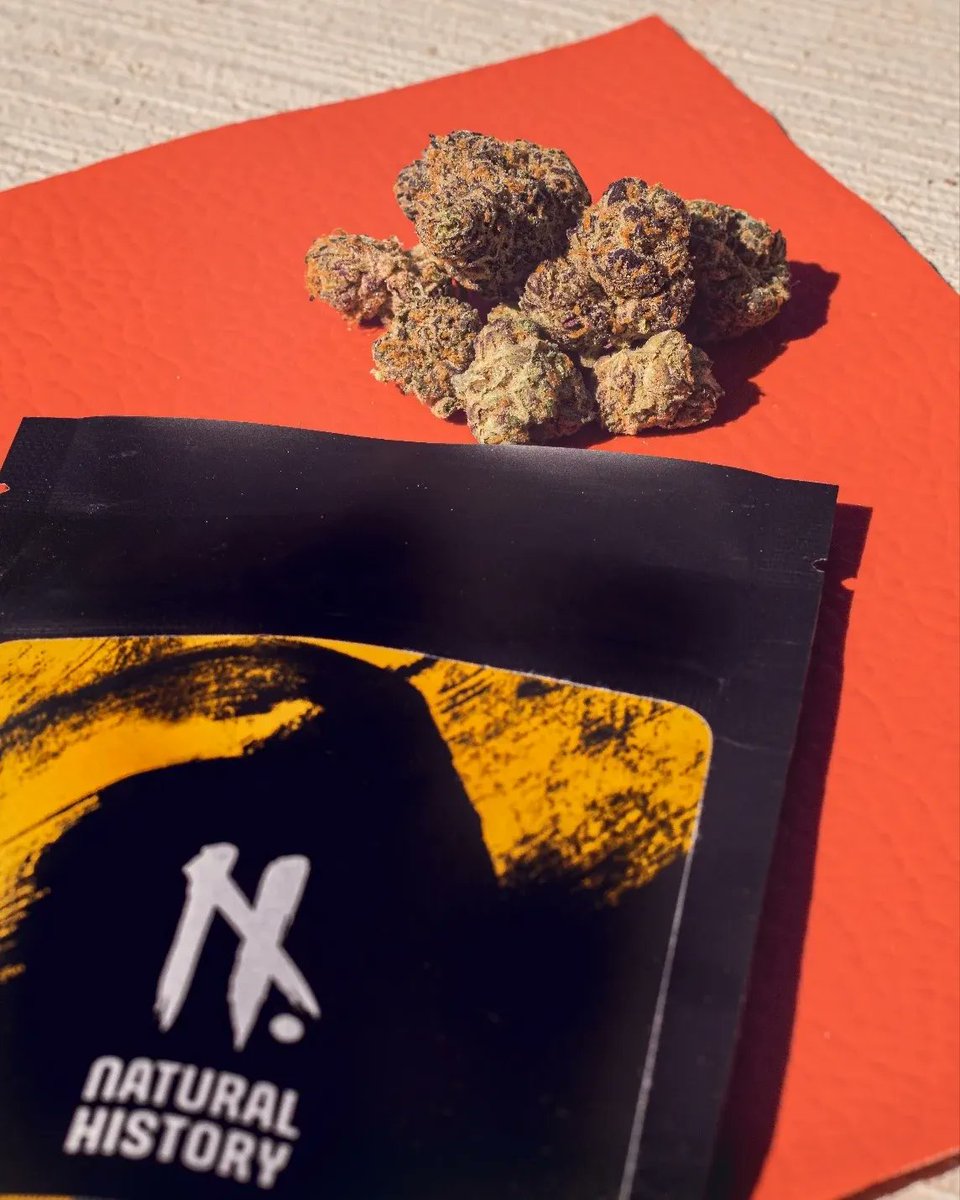 NaturalHistory tweet media