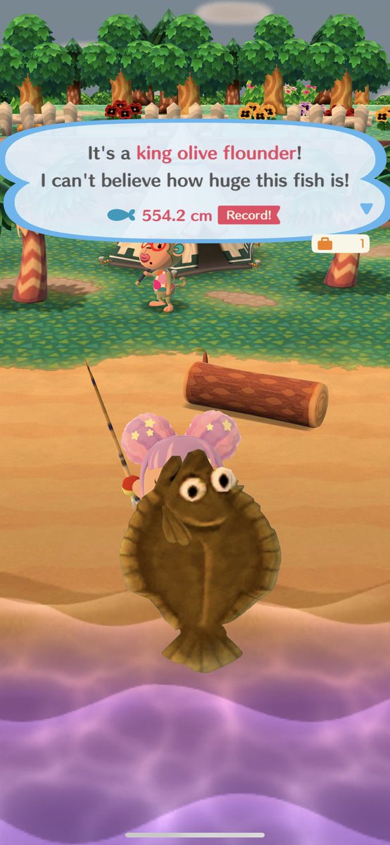 HailFire859's tweet photo. Since when was this a thing??? #AnimalCrossingPocketCamp https://t.co/NEZr4kyin9