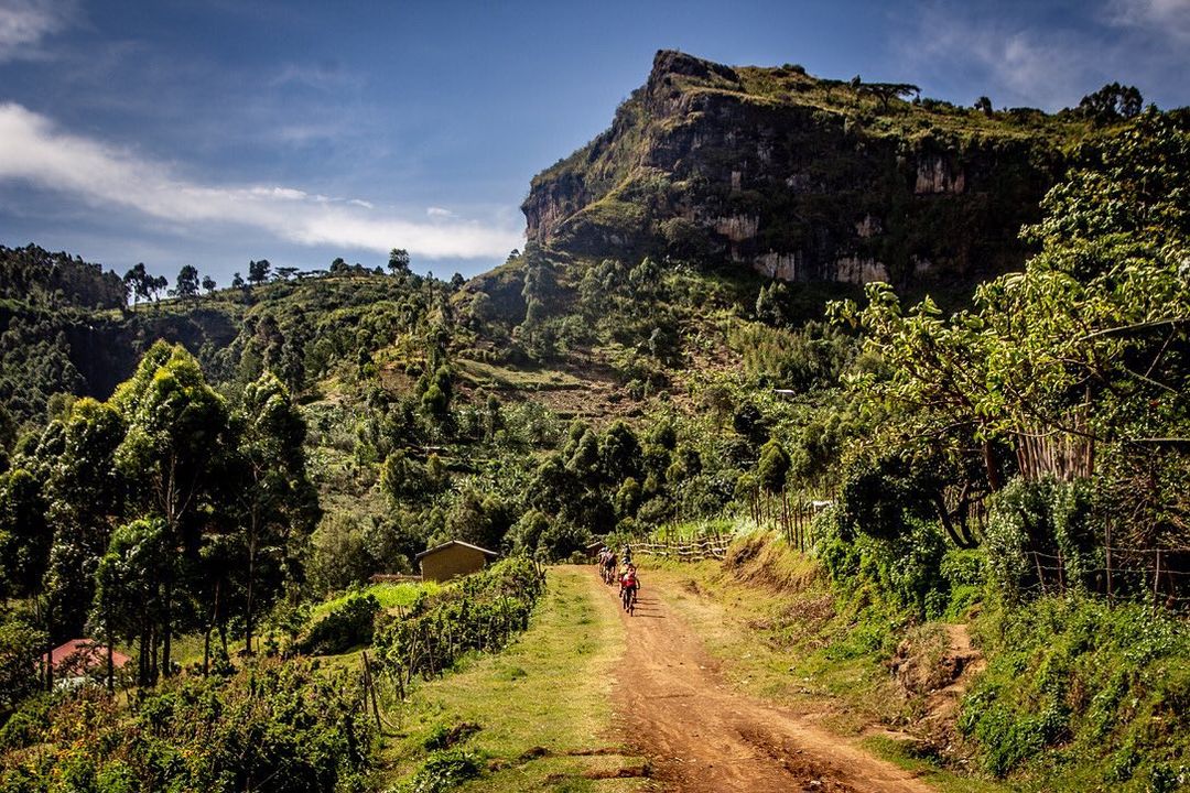 TourUganda1's tweet photo. Cycling experience in the Pearl 🚴‍♀🚵
Photos by allrideafrika https://t.co/dhnDJrfv8l