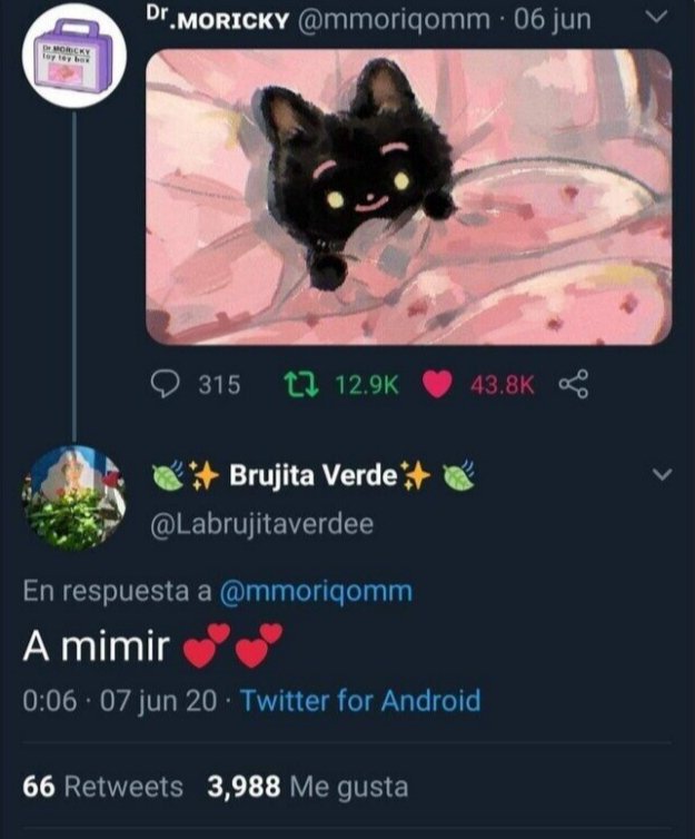 LaEtxeberrinche's tweet image. Este tuit marcó mi vida 💞💞