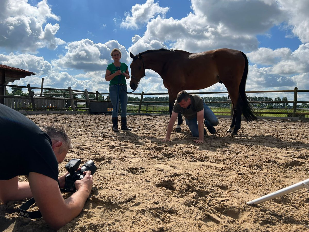 oosterbroek's tweet photo. Working like a horse 🐎 https://t.co/qGjnXxe0S1