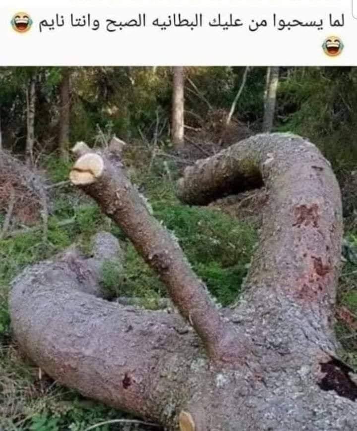 فلانتينو (@flantynw14) on Twitter photo 