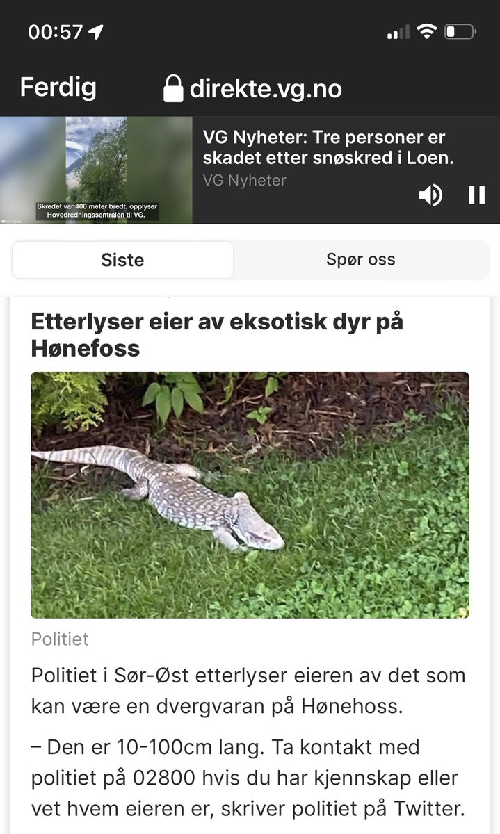 ..10 til 100 cm la g.. #politiet på #hønefoss har lagt igjen #øyemålet hjemme. #reptil #politietsørøst