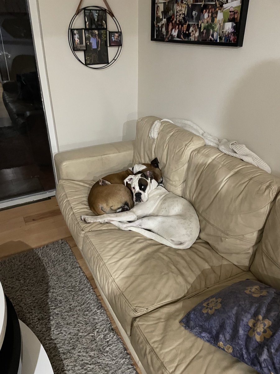 mully1968's tweet image. 